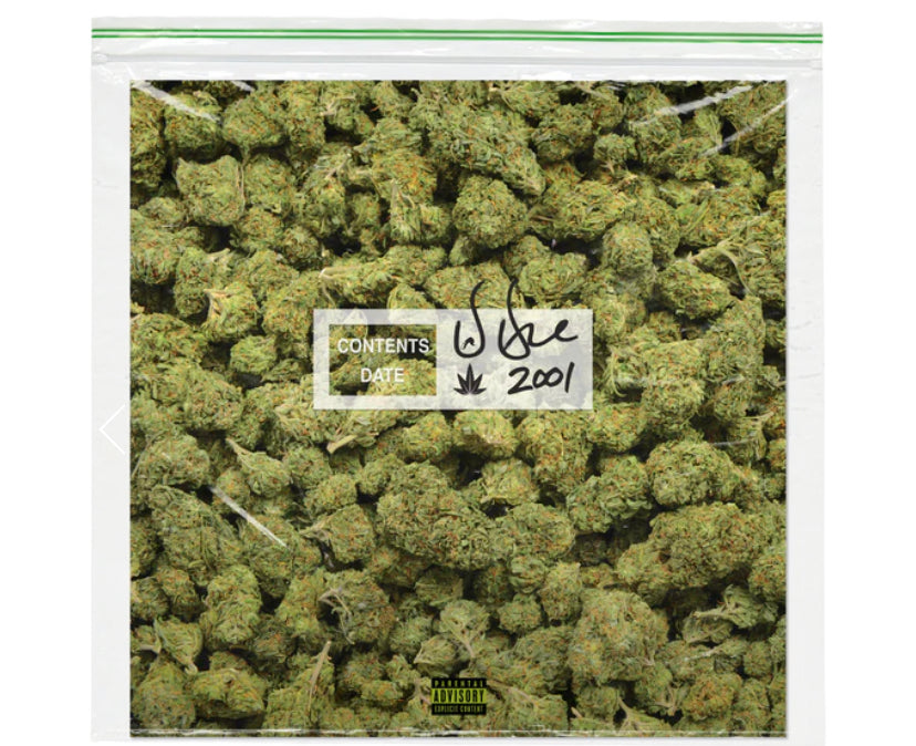 DR. DRE - 2001 25TH ANNIVERSARY EDITION 2LP LE2001 - Spin City Records