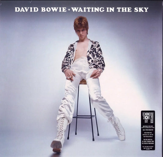 David Bowie "Waiting in the Sky" RSD RECORD STORE DAY 2024 NEW - Spin City Records