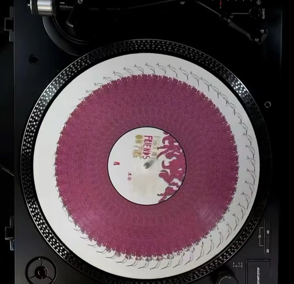 I Set My Friends On Fire You Can’t Spell Slaughter Without Laughter Pic Vinyl - Spin City Records