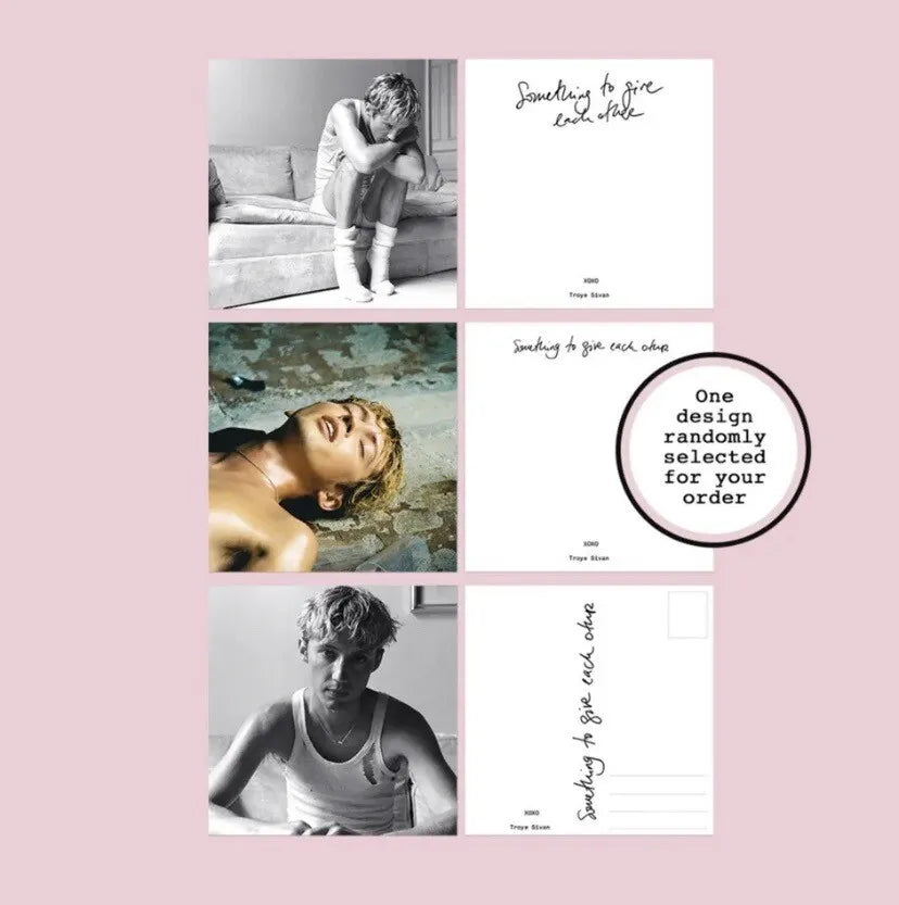 Troye Sivan Something To Give Each Other Exclusive Pink Deluxe Gatefold LP - Spin City Records